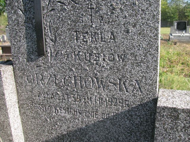 Tekla Orzechowska Jasieniec - Grobonet - Wyszukiwarka osób pochowanych