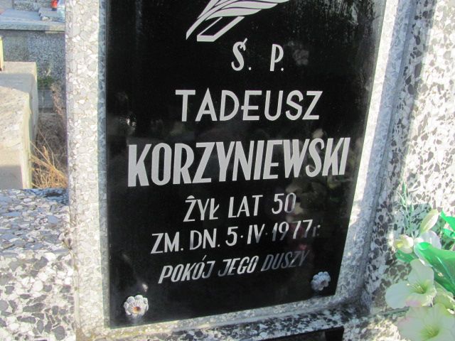 Tadeusz Korzyniewski Jasieniec - Grobonet - Wyszukiwarka osób pochowanych