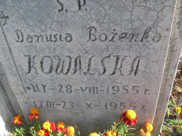 Danuta Bożena Kowalska 1955 Jasieniec - Grobonet - Wyszukiwarka osób pochowanych